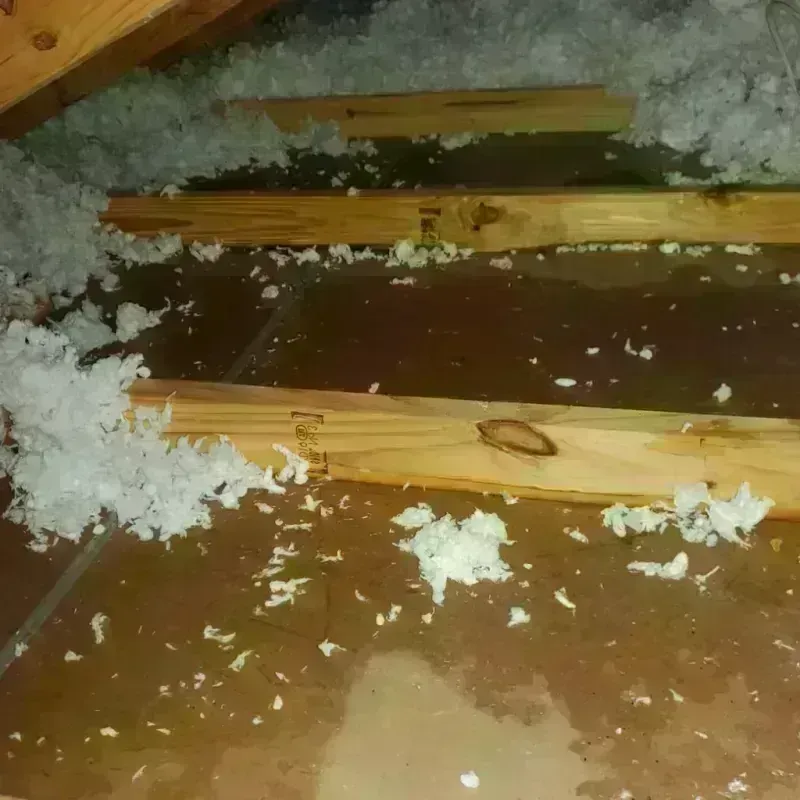 Attic Water Damage in Berrien County, MI